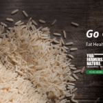 How does TCS’s $30 billion revenue milestone reflect its long-term resilience